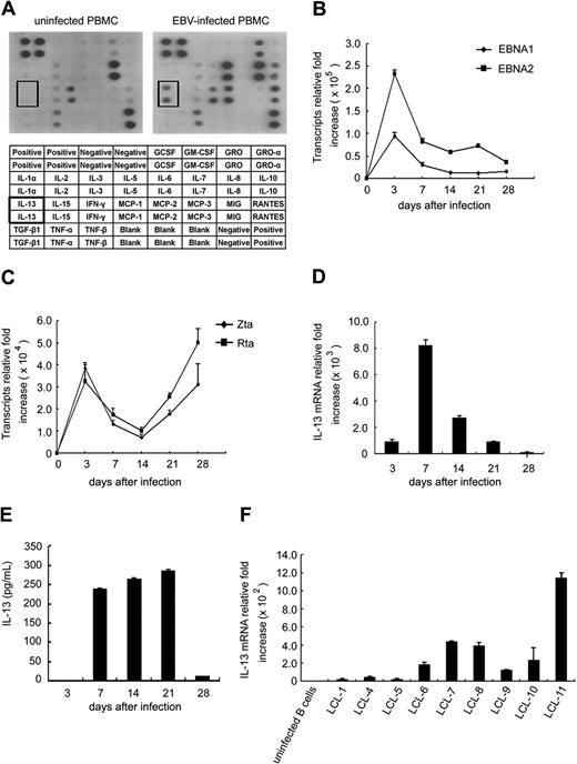 Figure 1. IL-13 production is induced after EBV infection. (A) PBMCs were infected with EBV or not infected, and supernatants were collected on day 7 after infection. Expression of cytokines in supernatants was measured using the human cytokine antibody array III. Each spot on the blot represents 1 cytokine, and each cytokine was duplicated. The cytokines tested are listed in the table under the blot. (B-F) CD19-positive B cells were infected with EBV, and RNA was extracted at the times indicated. The relative fold increase of transcript expression was normalized by the amount of RNA from uninfected B cells. RNA and supernatants were pooled from 6 individual donors for 1 experiment. A representative of 2 independent experiments is shown. (B) Expression of viral latent EBNA1 and EBNA2 genes was detected by RT-Q-PCR. (C) Expression of viral lytic genes (Zta and Rta) was detected by RT-Q-PCR. (D) Expression of IL-13 transcripts was measured by RT-Q-PCR. (E) IL-13 protein secreted in cultured medium was quantified by ELISA. (F) RNA was extracted from 9 LCL cells, and the IL-13 transcripts were examined by RT-Q-PCR. The relative fold of transcript expression was normalized by the amount of RNA from primary uninfected B cells.