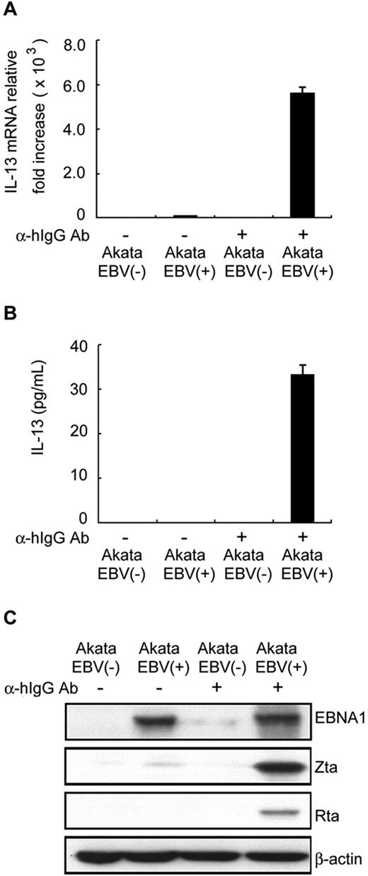 Figure 2. EBV lytic cycle progression enhances IL-13 expression. EBV negative (−) or EBV positive (+) Akata B-cell lines were treated with or without 10 μg/mL goat anti–human IgG antibody (α-hIgG Ab). RNA, supernatants, and cell lysates were harvested after 48 hours. Expression of IL-13 transcripts and protein was measured by RT-Q-PCR (A) and ELISA (B). The relative expression levels of IL-13 transcripts were normalized by the amount of IL-13 expressed in EBV(−) Akata B cells. (C) Expression of EBV latent (EBNA1) or lytic (Zta and Rta) proteins was detected by Western blot analysis; β-actin served as the internal control.