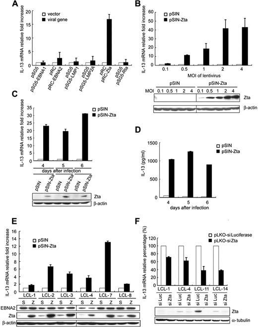 Figure 3. Expression of the EBV lytic protein, Zta, contributed to induction of IL-13. (A) BJAB cells were transfected with plasmids expressing EBNA1, EBNA2, LMP1, LMP2A, Zta, or Rta. RNA was extracted from each transfectant at 48 hours after transfection, and IL-13 transcripts were measured by RT-Q-PCR. (B) BJAB cells were infected with pSIN-vector or pSIN-Zta at the MOI indicated. RNA and cell lysates were harvested from each transfectant at 5 days after infection. IL-13 transcripts were measured by RT-Q-PCR (top panel), and Zta expression was detected by Western blot analysis (bottom panel; vertical lines have been inserted to indicate a repositioned gel lane). (C,D) L428 cells were infected with pSIN-Zta or pSIN-vector at an MOI of 4. Cell lysates, RNA, and supernatants were collected on days 4, 5, and 6 after infection. IL-13 transcripts were measured by RT-Q-PCR, and then relative expression of IL-13 transcripts was normalized to the amounts of IL-13 expressed in pSIN-vector transfected cells (panel C top). Zta expression was detected by Western blot analysis, and β-actin was used as an internal control (panel C bottom). Meanwhile, IL-13 protein in supernatants was quantified by ELISA (D). (E) In total, 6 LCLs cells were infected with pSIN-Zta or pSIN-vector lentivirus at an MOI of 4, and RNA and cell lysates were harvested after 7 days. Expression of IL-13 transcripts was detected by RT-Q-PCR, and the relative fold was normalized with the amounts of IL-13 mRNA in pSIN-vector lentivirus control cells (top panel). EBNA2 and Zta expression were measured by Western blot analyses, and β-actin was used as an internal control (bottom panel; vertical lines have been inserted to indicate a repositioned gel lane). (F) LCLs were infected with pLKO-siZta or pLKO-siLuciferase lentivirus, and then RNA and cell lysates were harvested on day 14 after infection. Expression of IL-13 transcripts was detected by RT-Q-PCR, and the relative fold was normalized with the amounts of IL-13 mRNA in pLKO-siLuciferase lentivirus infected cells (top panel). Zta expression was measured by Western blot analysis, and α-tubulin was used as an internal control (bottom panel).