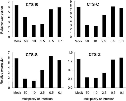 Figure 4. Down-regulation of cathepsin gene expression in response to HIV-1 occurs in a dose-dependent manner. Day-6 MDDCs were treated with HIV-1BaL at MOIs ranging from 50 to 0.1, or mock treated. After 48 hours, cathepsins B, C, S, and Z gene expression was determined by QPCR. All data were normalized to GAPDH expression. Representative data from 1 of 2 experiments are shown.