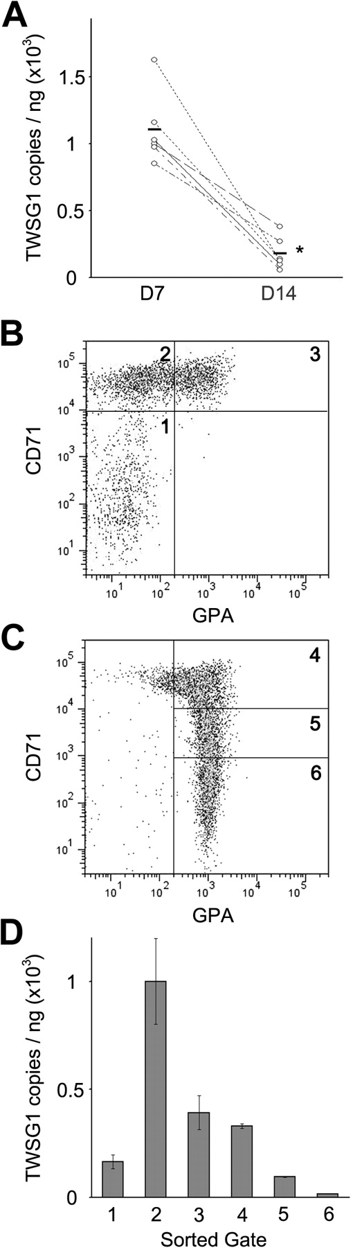 Figure 1. TWSG1 expression in human erythropoiesis. (A) Microarray confirmation by quantitative PCR using erythroblasts from 6 separate donors (y-axis, copy number/ng total RNA). Each line associated values from the same donor on separate days. D7, culture day 7; D14, culture day 14. *P < .05. Bars represent the mean values. Flow cytometry analysis for CD71 and GPA surface expression on culture day 7 (B) and day 14 (C). Flow cytometric gates denoted as 1, 2, 3 (panel B) and 4, 5, 6 (panel C) were sorted for quantitative PCR quantitation of TWSG1. (D) TWSG1 expression level in the sorted populations according to the sorted gates shown in panels B and C.