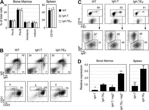 Figure 2. Normal B-cell development in young IgH.T and IgH.TEμ mice. (A) Proportions of pro-B (CD19+/CD43+/μ−), pre-B (CD19+/μ+), immature (IgM+/IgD−), and mature (IgM+/IgD+) B cells in BM and total CD19+ B cells in the spleen of the indicated mice, as measured by flow cytrometric analysis. Mean values and SD are given for 4 mice per group. (B) Fluorescence-activated cell sorter profiles for IgM and IgD in total spleen cells from the indicated mouse groups (top panel). Total splenic CD19+ B cells were gated and analyzed for CD21 and CD23 expression. The proportions of CD21highCD23high follicular B cells and CD21hiCD23lo marginal zone B cells within the specified gates are given. (C) Flow cytrometric analysis of CD19 expression (top panel) on peripheral white blood cells of WT, IgH.T, and IgH.TEμ mice at 2 months of age. The CD19+ fraction was gated and analyzed for the expression of the IgMa and IgMb allele (bottom panel). Numbers in the plots indicate the percentage of cells within the specified gates. (D) Quantitative PCR analysis of large T mRNA expression in CD19+ BM cells and spleen cells of the indicated mice. Expression was normalized with HPRT, and expression in IgH.TEμ BM was set to 1. Significant differences compared with IgH.TEμ mice (* P < .01, ** P < .001, Mann-Whitney U test). Mean values and SD are given for 3 mice (8-10 weeks old) per group.