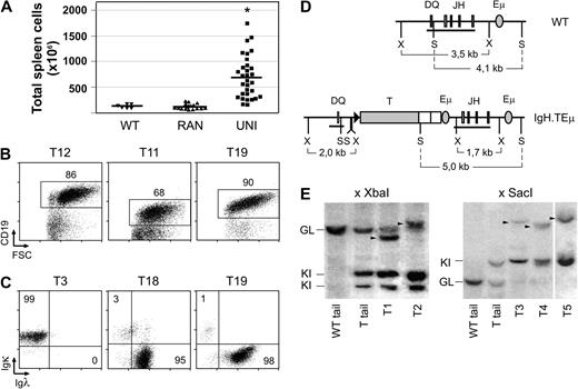 Figure 4. Accumulation of monoclonal B-cell populations in aged IgH.T and IgH.TEμ mice. (A) Spleen size of WT (▾, n = 6), RAN (▴, n = 18), and UNI (■, n = 33) animals. Each symbol indicates an individual mouse; mean values are indicated by a line. * Significant difference with WT (P < .001; Mann-Whitney U test). (Ages of mice are given in Table S1). (B) Flow cytometric analysis of total spleen cells in the 3 UNI mice indicated. Numbers indicate the percentage of CD19+ B cells. (C) Expression of Igκ or Igλ L chain in splenic IgM+ B cells of 3 UNI mice. Numbers indicate the percentage of cells within the specified quadrants. (D) Schematic representation of WT and targeted alleles, and position of restriction sites used for Southern analysis of Ig H chain recombination. Horizontal line represents the position of the XX1.2 probe, spanning the DQ-JH region. S indicates SacI; X, XbaI. (E) DNA rearrangements in total spleen cells of UNI animals. DNA was digested with XbaI or SacI and hybridized to the XX1.2 probe. Tail DNA from WT and UNI animals was used as reference for the WT germline fragment (GL) and the knockin germline fragment (KI). Note that digestion with XbaI results in 2 germline KI fragments. A vertical line has been inserted between samples T4 and T5 (SacI digests) to indicate a repositioned gel lane.
