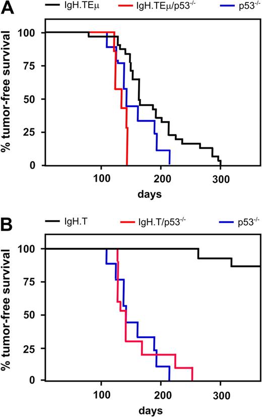 Figure 6. Effect of p53 on CLL development in IgH.TEμ and IgH.T mice. (A) Kaplan-Meier survival curve of IgH.TEμ (black, n = 31), IgH.TEμ/p53−/− (red, n = 6), and p53−/− (blue, n = 9) mice. (B) Kaplan-Meier survival curve in IgH.T (black, n = 15), IgH.T/p53−/− (red, n = 10), and p53−/− (blue, n = 9) mice. Tumor-free survival is plotted over time.