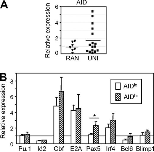 Figure 7. Similar transcription factor expression in AIDhigh and AIDlow CLL cells. (A) Quantitative RT-PCR analysis of AID expression in RAN (▾, n = 7) and UNI (■, n = 16) purified CD19+ B-cell fractions. Expression was normalized with HPRT, and relative expression in wild-type B-cell fractions was set to 1. (B) Expression of indicated transcription factors as measured by quantitative RT-PCR in AIDhigh (▨, n = 5; relative expression > 2, panel A) and AIDlow (□, n = 11; relative expression < 2). Expression was normalized with HPRT, and relative expression in RAN B-cell fractions was set to 1. Mean values and SEM are given. * Significant differences between AIDlow and AIDhigh CLL cells (P < .001, t test).