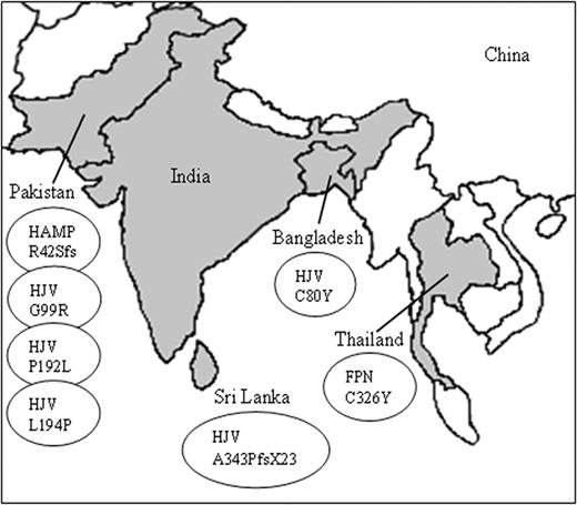 Figure 2. New non-HFE hemochromatosis mutations in Asia.