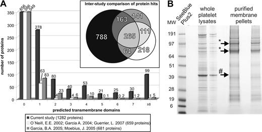 Figure 2. TMHMM-based interstudy comparison and membrane protein enrichment. (A) Prediction of membrane spanning proteins was done by TMHMM 2.0; comparison with several published studies on the platelet proteome clearly shows an increased number of identified membrane proteins by the current approach. (B) CBB-G250–stained 1D-SDS-PAGE of whole platelet lysates and enriched plasma membranes by aqueous 2-phase partitioning (* indicates gpIIb/IIIa; #, actin; proteins were identified by mass spectrometric sequencing).