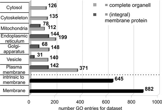 Figure 3. Gene ontology (GO)–based subcellular annotation of identified proteins. Clearly, high numbers of membrane-associated proteins (882) were identified with a major share of 371 belonging directly to the plasma membrane compartment.