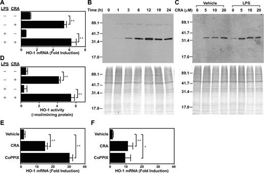 Figure 5. CRA-induced HO-1 expression in DCs. (A) BM-DCs were treated with CRA (10 μM) in the presence of vehicle alone or LPS (10 ng/mL) for 6 hours. Total RNA was isolated from these cells, and subjected to real-time PCR analysis for mRNA expression for HO-1 and GAPDH (mean ± SD, n = 3). Data are normalized to GAPDH mRNA expression as mentioned in “Measurement of in vitro impacts of CRA on LPS-induced DC maturation.” (B-C) BM-DCs were cultured with CRA in the presence of vehicle alone or LPS to examine time kinetics (10 μM; B) and dose dependency (6 hours) for HO-1 protein expression (C). The whole-cell extracts were assessed by Western blotting for HO-1 protein expression. The whole-cell extracts were also subjected to Coomassie blue staining. (D) HO-1 enzymatic activity was examined in whole-cell extracts from BM-DCs treated with CRA or vehicle alone in the presence or absence of LPS for 6 hours. Data are shown as nmol of bilirubin/minute per mg protein (mean ± SD, n = 3). (E-F) CD3+ T cells freshly purified from C57BL/6 mice were treated with CRA (10 μM) or CoPPIX (50 μM) in the presence (F) or absence (E) of PMA plus ionomycin for 6 hours and then examined for HO-1 mRNA expression by real-time PCR. Data are normalized to GAPDH mRNA expression (mean ± SD, n = 3). Asterisks indicate statistically significant (**P < .01) differences compared with the nontreated control samples.