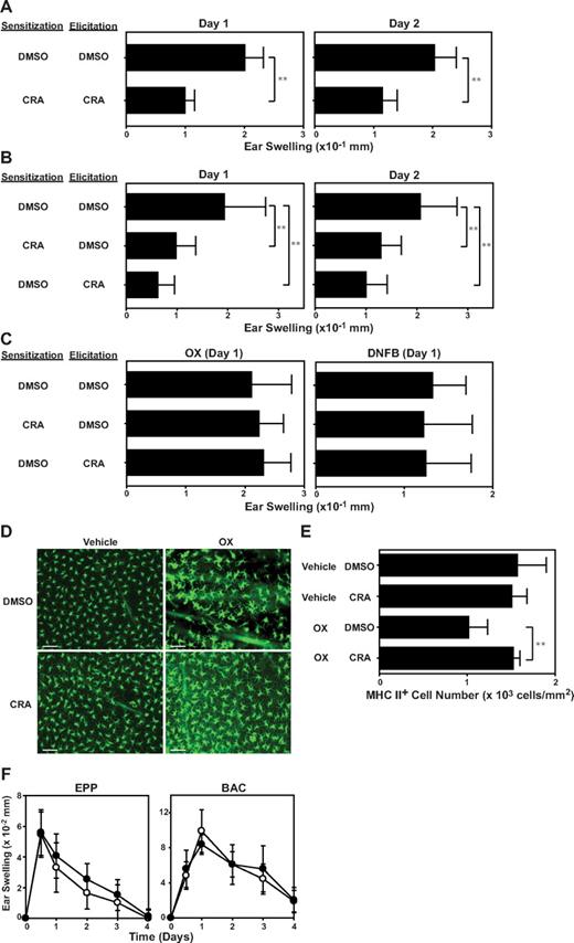 Figure 7. In vivo immnosuppressive effects of CRA. (A-B) BALB/c mice were sensitized on day −4 with OX and challenged on day 0 with the same hapten on the ears. CRA (10 μg/animal) or DMSO alone was intraperitonially injected during the sensitization phase (days −4 and −3) and/or the elicitation phase (days 0 and 1). Data shown are the ear-swelling responses on days 1 and 2 (mean ± SD, n = 10). (C) The mice examined in panel B were resensitized and rechallenged 1 month later with OX or DNFB. Data shown are the ear swelling responses on day 1 (mean ± SD, n = 5). Asterisks indicate statistically significant (**P < .01) differences compared with vehicle-treated mice. (D-E) BALB/c mice received intraperitoneal injection of CRA (10 μg/animal) or DMSO alone, followed immediately by topical application of 1.25% OX or vehicle (acetone/olive oil). The number of MHC class II-positive epidermal cells was counted 24 hours after OX application (mean ± SD, n = 10). (F) BALB/c mice were painted with 10% BAC or 30% EPP on the ears on day 0 and examined for ear-swelling responses. CRA (●) or DMSO alone (○) was injected intraperitonially on days 0 and 1 (mean ± SD, n = 5). All animal experimental data shown in this figure are representative of at least 3 independent experiments producing similar results.