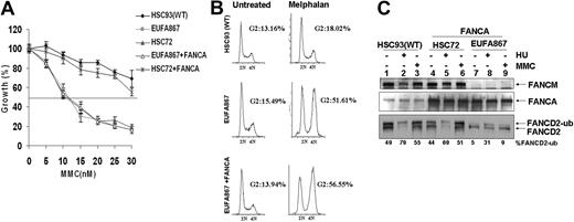 Figure 2. Stable expression of FANCA in EUFA867 lymphoblasts partially corrects the phenotype of this cell line. (A) EUFA867 lymphoblasts stably expressing wild-type FANCA are still hypersensitive to growth inhibition by mitomycin C. FANCA-deficient HSC72 and EUFA867 lymphoblasts were transduced with SF91-FANCA. Viable cells were measured with the Cell Titer 96 Proliferation Assay. The data represent the percentage growth compared with untreated cells and show 1 representative result of 3 independent experiments with standard deviations. (B) EUFA867 lymphoblasts stably expressing wild-type FANCA show melphalan-induced G2 arrest. (C) EUFA867 lymphoblasts stably expressing wild-type FANCA have reduced FANCD2 monoubiquitination. Cells were treated with either 2 mM HU or 240 nM MMC for 16 hours or left untreated. Total lysates were immunoblotted for FANCM, FANCD2, and FANCA.