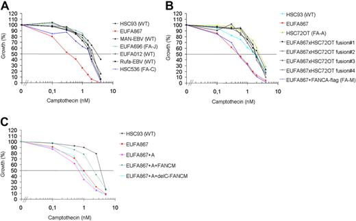 Figure 4. Camptothecin sensitivity in human lymphoblasts. (A) EUFA867 lymphoblasts are sensitive to the topoisomerase I inhibitor camptothecin. Lymphoblasts were continuously exposed to different doses of camptothecin and cell growth was compared with untreated cells by cell counting. Wild-type, and FANCC- and FANCJ-deficient lymphoblasts were included as camptothecin-resistant controls. (B) Camptothecin sensitivity of EUFA867 lymphoblasts is due to a defect in FANCM. The FANCA defect in EUFA867 was corrected by stable transfection of flag-tagged FANCA (EUFA867+FANCA-flag); the FANCM defect was corrected by cell fusion with FANCA-deficient lymphoblasts HSC72 (EUFA867xHSC72OT fusion). Four independent cell fusions are depicted. (C) The C-terminus of FANCM is involved in camptothecin resistance. EUFA867 cells were stably transduced with FANCA and wild-type FANCM (FANCM) or a C-terminal deletion mutant of FANCM (delC-FANCM).