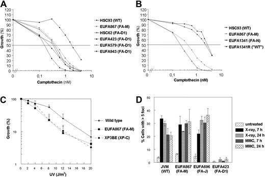 Figure 5. Camptothecin and UV sensitivity and Rad51 focus formation in human lymphoblasts. (A) FA-D1 lymphoblasts with a defect in FANCD1/BRCA2 are as sensitive to growth inhibition by camptothecin as EUFA867 lymphoblasts. (B) FA-N lymphoblasts with a defect in FANCN/PALB2 are as sensitive to growth inhibition by camptothecin as EUFA867 lymphoblasts. EUFA1341R is a MMC-resistant reverted derivative of EUFA1341 lymphoblasts. (C) EUFA867 lymphoblasts are sensitive to UV. Lymphoblasts were exposed to different doses of UVC light and cell growth was compared with untreated cells by cell counting. Lymphoblasts of xeroderma pigmentosum patient XP3BE were used as a positive control. Results show mean values of at least 5 experiments with SEM. (D) Normal Rad51 focus formation in EUFA867 lymphoblasts. Kinetics of Rad51 foci formation in response to x-ray irradiation (12 Gy) or MMC treatment (2.4 μg/mL for 1 hour) analyzed 7 and 24 hours after treatment. A cell with more than 5 distinct foci in the nucleus was considered positive. Results show the mean values of at least 2 experiments with standard error of the mean.