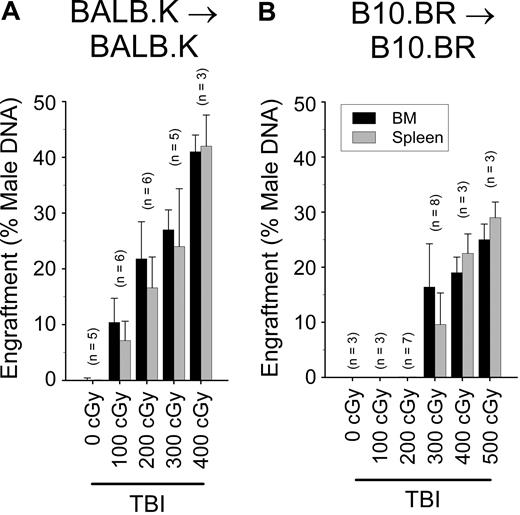 Figure 4. Syngeneic BM engraftment. Syngeneic BM engraftment in (A) BALB.K and (B) B10.BR mice. Female recipient mice were given sublethal TBI and injected with syngeneic male BM at a cell dose of 107. Shown are percent donor chimerism in BM and spleen of recipient mice 6 weeks after transplantation, assayed by quantitative PCR for male-specific Sry DNA.