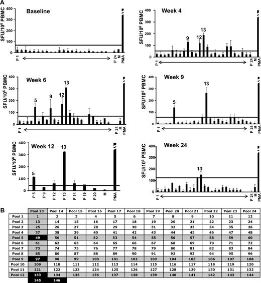 Figure 2. Capsid-specific IFN-γ ELISpot on PBMCs from subject E. (A) Capsid-specific IFN-γ ELISpot; results are expressed in SFU/106 PBMCs (average ± SD). Error bars represent SD. P 1 to P 24, AAV peptide matrix pools. Positive pools are indicated (positive defined as at least 3-fold above the medium control and at least 50 SFU/106 PBMCs). Horizontal lines represent the cutoff for positivity. PMA indicates positive control (> 1000 SFU/106 PBMCs for all time points); M, medium only. (B) Matrix analysis of results. Peptides identified by positive pools at any time point are indicated in black boxes. Note that peptides 145 and 146 were included in the matrix pools 12 and 13.