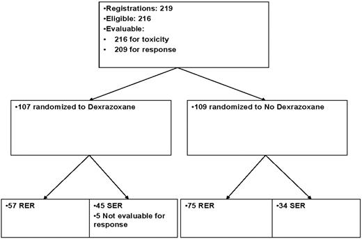 Figure 1. Treatment assignments and numbers of patients included in the analysis.