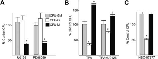 Figure 6. ERK inhibition reduces CFU-M, whereas SHP2 inhibition reduces CFU-G. (A) Marrow mononuclear cells obtained from mice not exposed to 5-FU were cultured in methylcellulose with IL-3, IL-6, and SCF at 10 000 cells/mL, with either no inhibitor, 5 μM U0126, or 5 μM PD98059. CFUs were enumerated 8 days later. Control cultures yielded on average 67 CFU-G, 67 CFU-M, and 55 CFU-GM per 30 000 cells cultured. The percentage of each CFU obtained with the 2 MEK inhibitors relative to the control colony numbers is shown (mean and SE from 3 experiments). *P < .001 comparing CFU obtained with versus without inhibitor (Student t test). (B) Marrow mononuclear cells were cultured similarly in methylcellulose with either no chemicals, TPA alone, or TPA with U0126. Control cultures yielded on average 151 CFU-G, 129 CFU-M, and 132 CFU-GM per 30 000 cells cultured. The percentage of each CFU obtained with 100 nM TPA or TPA combined with the ERK inhibitor relative to the control is shown (mean and SE from 3 experiments). *P < .001 comparing CFU obtained with versus without TPA; #P < .01 comparing CFU obtained with TPA with versus without U0126. (C) Marrow mononuclear cells were cultured with no inhibitor or 50 μM NSC-87877. Control cultures yielded on average 67 CFU-G, 67 CFU-M, and 55 CFU-GM per 30 000 cells cultured. The percentage of each CFU obtained with the SHP2 inhibitor relative to the control is shown (mean and SE from 3 experiments). *P < .01 comparing CFU obtained with versus without inhibitor.