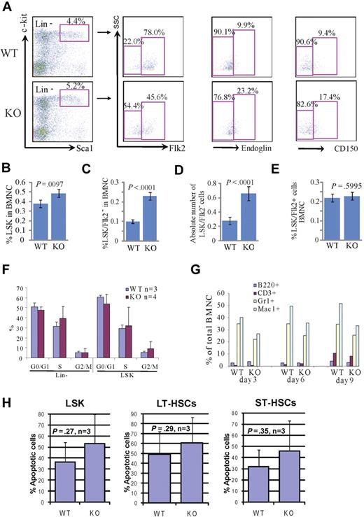 Figure 1. Increased percentages and absolute numbers of LSK cells and LT-HSCs in Rbm15-KO mice without aberrant proliferation or apoptosis. (A) Representative flow analysis of LSK (Lin−Sca+c-Kit+), LT-HSC, and ST-HSC cells in Rbm15-KO mice and littermate control animals. Lin− cells were gated and analyzed for Sca1 and c-Kit, and the LSK cells were then gated to identify LT-HSCs and ST-HSCs based on Flk2, endoglin, or CD150 expression. Increased percentages of LT-HSCs (indicated as LSK/Flk2−, endoglin+, or CD150+ cells) were documented by studies using all 3 of these markers. (B-E) Quantitation of the percentages of LSK cells (B), LT-HSCs (LSK/Flk2−; C), and ST-HSCs (LSK/Flk2+; E) in total BMNCs, and the absolute number of LT-HSCs (D) in mice BM (n = 18 WT and KO each). (F) In vivo proliferation was assessed by BrdU incorporation. Mice received an intraperitoneal injection of 2 mg of BrdU and were analyzed 12 hours thereafter. BM cells were isolated and stained with a Lin+ mixture, c-Kit, and Sca1 antibodies, and analysis of BrdU incorporation in conjunction with 7-aminoactinomycin D was performed using a 5-color flow cytometer. (G) Rbm15-KO HSCs can terminally differentiate in vitro. FACS-sorted LSK/Flk2− cells from WT and Rbm15-KO BM were bulk cultured in stem cell culture medium containing murine SCF and murine IL-3 to allow the cells to differentiate. After 3, 6, and 9 days, the expression of lineage markers Mac1 (macrophages), Gr1 (granulocytes), B220 (B lymphocytes), and CD3 (T lymphocytes) was analyzed. The percentages of these cells as part of the total nucleated cells are shown. (H) The apoptotic responses of freshly isolated HSCs from Rbm15-KO mice and WT littermate controls were assessed by costaining with stem cell markers and annexin V/PI. The percentages of annexin V+/PI− apoptotic cells in LSK, LT-, and ST-HSC populations were analyzed. Mean ± SD and P values from 3 independent experiments are shown.