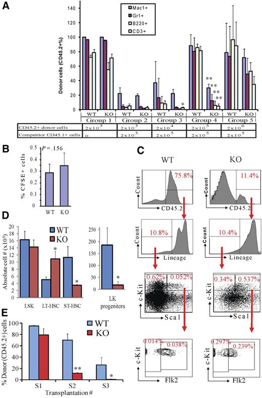 Figure 2. Rbm15-KO HSCs are less competitive in reconstitution of lethally irradiated recipient mice and compromised in serial transplantation due to a LT-HSC differentiation block. (A) Serially diluted donor BM cells (CD45.2+) were transplanted into lethally irradiated CD45.1+ recipient mice with (groups 2-5) or without (group 1) 2 × 105 competitor WT BM cells (CD45.1+). Six weeks after transplantation, PB was analyzed by FACS to examine the donor-derived (CD45.2+) monocyte/macrophage (Mac1+), granulocyte (Gr1+), B-lymphoid (B220+), and T-lymphoid (CD3+) cells in the recipient animals. The bars represent the averages in each group of mice; error bars show SD. (B) Homing of Rbm15-WT and -KO BM cells. BM cells were labeled with the fluorescent dye CFSE, then transplanted into lethally irradiated (10 Gy) recipient mice. CFSE+ cells homing to the BM of the recipient mice were assessed 5 hours after transplantation by flow analysis. (C) Representative BM analysis of competitive transplanted recipient mice (group 5 in A) 5 months after transplantation. The percentages of Lin− cells, LSKs, LT-HSCs, ST-HSCs, and Lin−c-Kit+Sca1− (LK) progenitors in the total donor-derived cell populations are shown. *P < .05, **P < .01, n = 4. (D) Absolute numbers of different HSC and progenitor subsets derived from CD45.2+ donor cells in the BM of the chimeras shown in (C). Note that, whereas Rbm15-KO LT-HSC numbers are increased approximately 3-fold, the numbers of Rbm15-KO ST-HSCs and LK progenitors are reduced markedly compared with the WT counterparts, indicating an inability of LT-HSCs that lack Rbm15 to normally differentiate. *P < .05, **P < .01, n = 2. (E) BMNCs (2 × 106) from either Rbm15-WT or Rbm15-KO mice (CD45.2+) were transplanted into lethally irradiated (10 Gy) WT recipient mice (CD45.1+) (S1). BMNCs were taken 3 months later from these recipient mice, and the same procedure was applied in secondary (S2) and tertiary (S3) recipients. PB from 3 to 6 mice in each group was analyzed 6 weeks and 3 months after transplantation for CD45.2+ donor cell contribution. The data shown were collected from 4 independent experiments using PB samples taken at 6 weeks after transplantation. *P < .05, **P < .01.