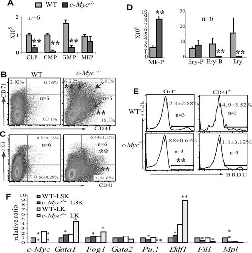 Figure 2. HSC/Ps with c-Myc deletion are biased toward megakaryocytic differentiation at the expense of other hematopoietic lineages. (A) CMPs, CLPs, and GMPs were significantly reduced in c-Myc−/− mouse BM; however, the number of MEPs was less affected. (B) Increased percentages of CD71+ and CD41+ (arrow), 2 distinct populations of cells in BM of c-Myc−/− mice. (C) Increased percentages of both CD41+c-kit− and CD41+c-kit+ populations in c-Myc−/− BM. (D) The absolute number of Mk-Ps (Lin−Sca1−CD41+c-kit+CD9+) is significantly increased in c-Myc−/− BM (2 hind limbs), whereas the number of Ery-Ps (CD71+Ter119−) is less affected. However, the number of Ery-Bs (CD71+Ter119+) and differentiated nucleated Erys (CD71−Ter119+) is significantly reduced in c-Myc−/− BM (2 hind limbs). (E) Proliferation of CD41+ megakaryocytes is less affected, whereas the proliferation of Gr1+ granulocytes is significantly decreased in c-Myc−/− mice. (F) HSC/Ps from c-Myc−/− mice express high levels of erythrocyte and megakaryocyte-specific genes, including Gata1, Fog1, and Eklf1, but reduced lymphoid and myeloid-specific genes, such as Pu.1. The expression levels of detected genes in c-Myc−/− LSK and LK populations are shown relative to expression levels in the WT LSK cell population. The significant reduction of c-Myc levels in c-Myc−/− HSC/Ps indicates the success of the induced c-Myc deletion. Data are an average of triplicate experiments. *P < .05; **P < .01.