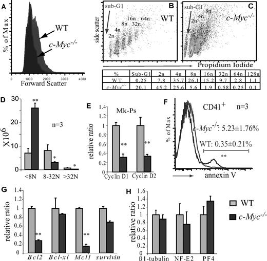 Figure 3. c-Myc is required for endomitosis and polyploidy differentiation but is not essential for megakaryocyte maturation. (A) c-Myc−/− megakaryocytes are smaller than WT megakaryocytes as shown by flow cytometry forward scatter. (B,C) c-Myc−/− megakaryocytes have lower ploidy, as shown by propidium iodide staining. The appearance of the sub-G1 population in the c-Myc−/− CD41+ population suggests increased apoptosis in c-Myc−/− megakaryocytes. A typical representative of 3 separate experiments is shown. (D) Comparison of the absolute number of low-ploidy (< 8N), medium ploidy (8-32N), and high ploidy (> 32N) in BM plus spleens of c-Myc−/− and WT control mice. (E) Cylin D1 and D2 expression is down-regulated in c-Myc−/− MK-Ps (lin−Sca1−c-kit+Cd41+) compared with WT counterparts. (F) Increased apoptosis of CD41+ megakaryocytes as shown by annexin-V staining. (G) Down-regulation of pro-survival genes Bcl-2 and Mcl1 in CD41+ megakaryocytes of c-Myc−/− mice compared with WT controls. (H) Expression of mature megakaryocytic markers in c-Myc−/− megakaryocytes (CD41+c-kit−) compared with that of WT counterparts. **P < .01.