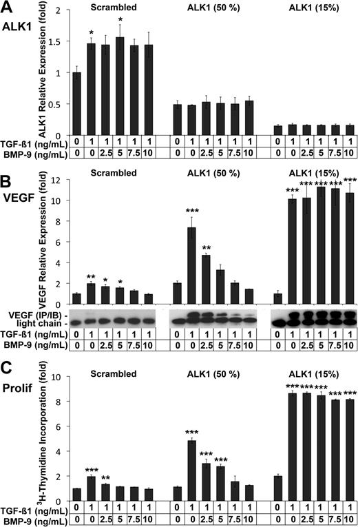 Figure 4. BMP-9 stimulation of ALK1 suppresses VEGF expression. HAECs were transfected with scrambled control siRNA or 2 concentrations of ALK1 siRNA to reduce ALK1 expression to 50% and 15% of control, respectively. The following day, the cells were treated with TGFβ1 (1 ng/mL) and BMP-9 (0-10 ng/mL) for 24 hours. ALK1 expression was determined by real-time PCR (A). VEGF expression was determined by real-time PCR, and confirmed by immunoblotting of VEGF from the media (B). Cell proliferation was determined by 3H-thymidine incorporation (C). Asterisks indicate statistically significant differences compared with control (no TGFβ1 or BMP-9). *P < .05; **P < .01; ***P < .001; Tukey test.