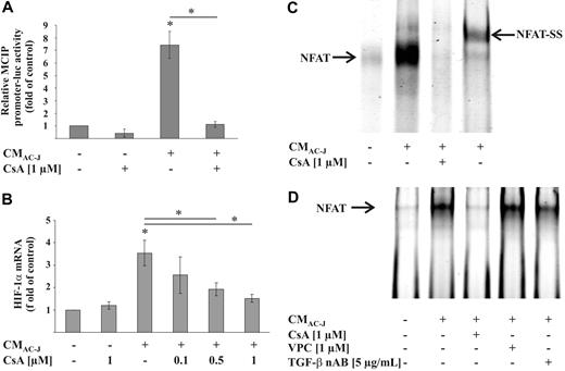 Figure 6. Role of NFAT in HIF-1α mRNA expression. (A) RAW264.7 cells were transfected with a NFAT-dependent reporter and prl-cmv-renilla plasmid and treated with the supernatant of apoptotic Jurkat cells (CMAC-J) with our without 1 μM CsA for 16 hours or with 1 μM CsA alone. Luciferase activity, normalized to Renilla activity, was measured. (B) RAW264.7 cells were treated with CMAC-J with or without increasing concentrations of CsA for 16 hours. HIF-1α as well as ribosomal 16S protein mRNA were determined, as described in Figure 4. (C) RAW264.7 cells were treated with CMAC-J with or without 1 μM CsA for 4 hours. Supershift analysis was performed with the addition of the NFATc1 AB. (D) RAW264.7 cells were treated with CMAC-J with or without 1 μM CsA, 1 μM VPC23019, or 5 μg/mL TGF-β nAB for 4 hours. The TGF-β nAB was preincubated with CMAC-J for 1 hour at 37°C. Binding of NFAT to a HIF-1α promoter sequence was analyzed by EMSA using a specific 5′-IRD700-labeled oligonucleotide. CsA and VPC23019 were preincubated for 1 hour. Results are representative for 3 individual experiments.