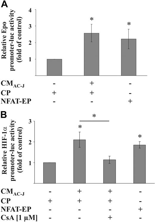 Figure 7. NFAT induces HIF-1 activity and the HIF-1α promoter. (A) RAW264.7 cells were transfected with the pGL-3xEPO-HRE plasmid, cotransfected with a control plasmid (CP) or an NFAT expression plasmid (NFAT-EP), treated with CMAC-J, or remained as controls for 16 hours. (B) RAW264.7 cells were transfected with the HIF-1α-luciferase promoter plasmid, cotransfected with a control plasmid (CP) or the NFAT-EP, and treated in the absence or presence of CsA (preincubated for 1 hour) with CMAC-J, or remained as controls for 16 hours. Luciferase activity was normalized to protein. Control conditions were set to 1. Data are the mean ± SD (n ≥ 3). *Significant alterations compared with controls (or otherwise as indicated).