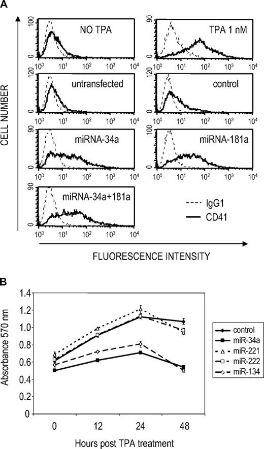 Figure 2. miR-34a enhances megakaryocytic differentiation and inhibits proliferation in K562 cells. (A) Overexpression of miR-34a or miR-181a in K562 cells induces the MK integrin CD41. K562 cells were transfected with the indicated miRNA mimic and 24 hours later stimulated with a suboptimal amount of TPA (0.1 nM). Efficient uptake of dsRNA oligonucleotides into transfected K562 cells is shown in supplemental Figure 1D. CD41 expression was analyzed by flow cytometry 72 hours after TPA stimulation. As positive control, K562 cells were treated with 1 nM TPA. Levels of expression of the transfected miRNAs at the time of analysis are shown in supplemental Figure 2B. (B) miR-34a and miR-134 inhibit K562 cell proliferation, assessed by the MTT (3-(4,5-dimethylthiazol-2-yl)-2,5-diphenyltetrazolium bromide) cell proliferation assay. Cells were transfected with the indicated miRNA and then treated with a suboptimal amount of TPA as indicated. Values are mean ± SD.