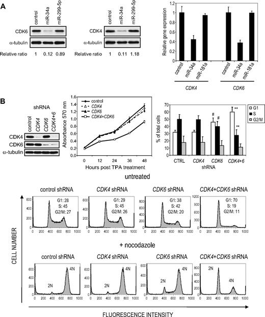 Figure 5. miR-34a regulates CDK4 and CDK6 in K562 cells. (A) K562 cells, transfected with the indicated miRNA mimic, were analyzed for CDK4 and CDK6 protein and mRNA by immunoblot (left) or quantitative PCR (right), respectively, 48 hours later. Protein expression relative to α-tubulin was quantified by densitometry. mRNA normalized to GAPDH mRNA is shown relative to the ratio in K562 cells transfected with a miRNA mimic control. (B) Simultaneous knockdown (top left) of CDK4 and CDK6, but not either alone, inhibits proliferation and increases the G1 compartment in K562 cells. Cell proliferation was evaluated using the MTT cell proliferation assay (top middle). Cell-cycle analysis (representative flow cytometry histograms, bottom) was performed 72 hours after transfection in nocodazole-treated and untreated cells. The bar graph (top right) represents the mean ± SD of 4 independent experiments performed without nocodazole synchronization. Statistical analysis was performed using the Student 2-sided t test: #P < .05; **P < .01.
