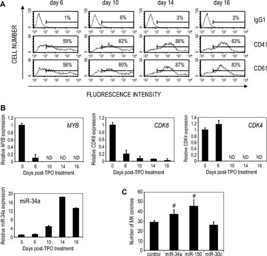 Figure 6. Enforced miR-34a expression enhances MK differentiation of human CD34+ hematopoietic precursors. (A) CD34+ hematopoietic cells, differentiated to MK by culture in medium containing TPO, SCF, and IL-3, express MK integrins. The proportion of CD41/CD61-positive cells is indicated. (B) Changes in miR-34a and its MYB, CDK4, and CDK6 target mRNAs were evaluated by quantitative PCR. miR-34a expression is normalized to U6 and mRNA is normalized to GAPDH. Gene expression is plotted as expression relative to day 0. ND indicates not detected. (C) CFU-MK assay of miRNA-overexpressing CD34+ HSCs. Primary human CD34+ cord blood cells were infected with lentiviruses encoding the indicated miRNAs, and the effect of miRNA overexpression on CFU-MK numbers was evaluated 12 days later. The bar graph represents the mean ± SD of quadruplicate samples. A representative experiment of 3 independent experiments is shown. #P < .05 relative to control lentivirus-infected cells. Exogenous miR-34a and miR-150 both enhance MK colony numbers.