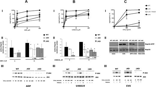 Figure 1. Analysis of platelet activation in PI3KγKD and PI3KβKD mice. ADP (A), U46619 (B), or convulxin (C) induced platelet aggregation (i), Rap1b activation (ii), and Akt phosphorylation (iii) in wild-type (WT), PI3KγKD (γKD), and PI3KβKD (βKD) mice. (i) Platelet aggregation was stimulated by 1, 5, or 10 μM ADP (in the presence of 200 μg/mL fibrinogen) or U46619, or with 50 and 100 ng/mL convulxin (CVX). The percentage of platelet aggregation was determined 5 minutes after addition of the agonist. Aggregation of PI3KγKD was also measured upon preincubation with 0.5 μM TGX221 (a gift from Dr Peter R. Shepherd, University of Auckland, Auckland, New Zealand) for 5 minutes. For each agonist, maximal aggregation induced by the highest dose of agonist was considered as 100%. In the case of CVX stimulation, the dose of 100 ng/mL was sufficient to trigger maximal platelet aggregation (light transmission higher than 95%) under our experimental conditions. Results are the mean ± SD of 3 (A-B) or 6 (C) different experiments (where not visible, SD bar is masked by the mark). Traces are as follows: ●, wild-type platelets; ■, PI3KγKD platelets; □, PI3KγKD platelets treated with TGX221; ♦, PI3KβKD platelets. Analysis with t test performed at each dose of agonists revealed that aggregation of both PI3KβKD and PI3KγKD platelets stimulated with ADP or U46619 was always significantly different from that of wild-type platelets (P < .01). Upon stimulation with CVX, PI3KβKD platelets showed significantly reduced aggregation relative to wild-type platelets at both concentrations tested, whereas aggregation of PI3KγKD platelets was significantly reduced relative to that of wild-type platelets only at 100 ng/mL (P < .05). (ii) Analysis of Rap1b activation was performed upon platelet stimulation with 1 or 5 μM ADP or U46619 or with 50 ng/mL CVX for 60 seconds. When indicated, stimulation of platelets was also performed upon preincubation with 0.5 μM TGX221 (+ TGX) for 5 minutes, while Rap1b activation induced by CVX was also analyzed in the presence of 2 U/mL apyrase (APY). Active Rap1b was precipitated with GST-tagged RalGDS-RBD and visualized by immunoblotting with a specific antibody. Identical aliquots of total cell lysates from each sample were also tested for the total Rap1b expression by immunoblotting. Quantitative analysis was performed by densitometric scanning of the immunoblots. For ADP and U46619, variable results were obtained, and thus histograms summarizing the quantitative analysis of 3 different experiments for wild-type (■), PI3KγKD (□), and PI3KβKD () platelets are reported. Statistically significant differences in Rap1b activation in the PI3KγKD or PI3KβKD versus wild-type platelets (t test, P < .05) are indicated by *. For CVX-treated platelets, a representative immunoblot of 3 identical experiments is reported, as either a normal or a completely inhibited activation of Rap1b was constantly observed. (iii) Wild-type, PI3KγKD, and PI3KβKD platelets were stimulated with 5 μM ADP, 5 μM U46619, or 50 ng/mL CVX for the indicated times. When indicated, platelets were preincubated with 0.5 μM TGX221 for 5 minutes before stimulation. Proteins from identical aliquots of whole-cell lysates were separated by SDS-PAGE on a 10% acrylamide gel, transferred to polyvinylidene difluoride, and probed with anti–phospho-Akt (Ser473) antibody (top panels). Membranes were stripped and then reprobed with anti-Akt antibody (bottom panels). Immunoblots representative of 3 different experiments giving identical clearcut results are reported.