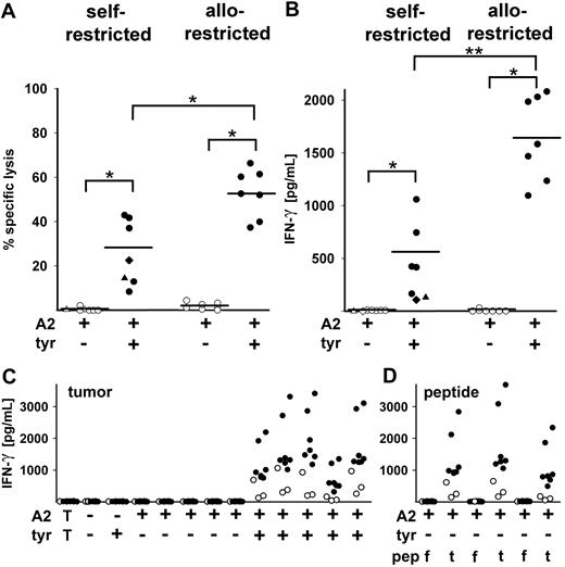 Figure 3. CTL clones from multimer-sorted cells of HLA-A2+ and HLA-A2− donors primed with RNA-pulsed DCs. (A) Cytotoxic activity of 5 CTL clones from HLA-A2+ and 7 CTL clones from HLA-A2− donors is shown against Mel-A375 (HLA-A2+tyrosinase−) and Mel-93.04A12 (HLA-A2+tyrosinase+) melanoma lines at E:T of 5:1. CTL clones showed significant differences in lysis of HLA-A2+tyrosinase− vs HLA-A2+tyrosinase+ melanoma lines (nonparametric Wilcoxon signed rank test, *P < .05). Allo-restricted clones displayed greater mean percentage-specific lysis than self-restricted clones (52.8% vs 28.5%; nonparametric Mann-Whitney U test; *P < .05). The patient-derived IVS-B clone showed 22.5% specific lysis (♦), and the peptide-primed CTL clone Tyr-F8 showed 14.4% specific lysis (▲). (B) IFN-γ secretion (picograms per milliliter) by the same clones after coculture with Mel-A375 (HLA-A2+tyrosinase−) and Mel-93.04A12 (HLA-A2+tyrosinase+) lines was measured by ELISA. Allo-restricted clones showed higher mean IFN-γ secretion than self-restricted clones (1639 pg/mL vs 561 pg/mL; nonparametric Mann-Whitney U test; **P < .005). The IVS-B clone (♦) released 106 pg/mL IFN-γ and Tyr-F8 (▲) released 129 pg/mL. (C) IFN-γ secretion (picograms per milliliter) by 7 allo-restricted (●) and 3 self-restricted (○) T-cell clones in coculture with a panel of tumor cell lines shown from left to right: a breast carcinoma line MaCa1 (HLA-A2−tyrosinase−); a melanoma line SK-Mel-28 (HLA-A2−tyrosinase+); Mel-A375 (HLA-A2+tyrosinase−), a renal cell carcinoma line RCC-26 (HLA-A2+tyrosinase−), a pancreas carcinoma line PancTu 1 (HLA-A2+tyrosinase−), a stable HLA-A*0201 transfectant of MaCa1/A2 (HLA-A2+tyrosinase−), and a tongue carcinoma line UTS CC 1588 (HLA-A2+tyrosinase−); and the melanoma cell lines Mel-624.38, Mel-93.04A12, SK-Mel-23, SK-Mel-29, and WM-266-4 (all HLA-A2+tyrosinase+). The leftmost values designated with T show the background levels of cytokine secreted by the CTL in the absence of stimulating cells. (D) The HLA-A2+tyrosinase− tumor cell lines Mel-A375, RCC-26, and MaCa1/A2 were exogenously loaded with either 10−5 M irrelevant flu peptide (f) or 10−5 M tyrosinase peptide YMD (t) and IFN-γ secretion was measured by ELISA and given as picograms per milliliter.