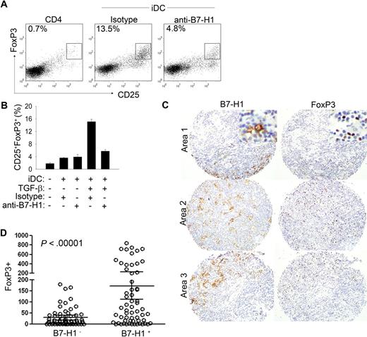 Figure 5. DC-associated B7-H1 promotes the induction of FoxP3+ regulatory T cells. (A-B) Purified CD4+ T cells were depleted of CD25hi natural Tregs and cultured alone or with normal donor monocyte-derived iDCs in triplicate for 6 days. TGF-β (25 ng/mL) was included in the cultures shown in panel A or as indicated. Either an isotype control or blocking anti–B7-H1 (4 μg/mL) antibody was included. The frequency of CD25hiFoxP3+ cells was determined by flow cytometry. Representative dot plots are shown in panel A. Data shown are representative of at least 3 similarly performed experiments. (C-D) Immunohistochemical staining for both B7-H1 and FoxP3 was performed on paraffin-embedded PTCL biopsy specimens (n = 48; in triplicate), as described in “Patient samples, immunohistochemistry, and immunofluorescence assay.” B7-H1 and FoxP3 staining from multiple areas of the same biopsy specimen are shown in panel C. (Inset) Original magnification ×200. (D) FoxP3+ cells in each high-power field (± 95% confidence interval is shown) were counted and DC staining for B7-H1 determined. For the purpose of our analysis, core biopsy specimens were considered B7-H1+ if any portion of the specimen contained B7-H1+ DCs.