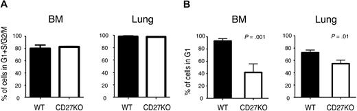 Figure 5. Cell-cycle state of antigen-specific memory CD8 T cells in CD27−/− mice. WT or CD27−/− mice were infected intravenously with VSV. (A) After 7 days, BM and lung VSV-N tetramer-positive CD8 T cells were analyzed for RNA/DNA content, and the number of cells not in G0 is shown. The results represent the mean ± SEM of 3 mice per group. (B) After 35 to 65 days, BM and lung VSV-N tetramer–positive CD8 memory T cells were analyzed for RNA/DNA content. The data are the combined results of 2 independent experiments, showing the mean ± SEM of 8 mice total per group. The number of cells in S plus G2/M was less than 1%.