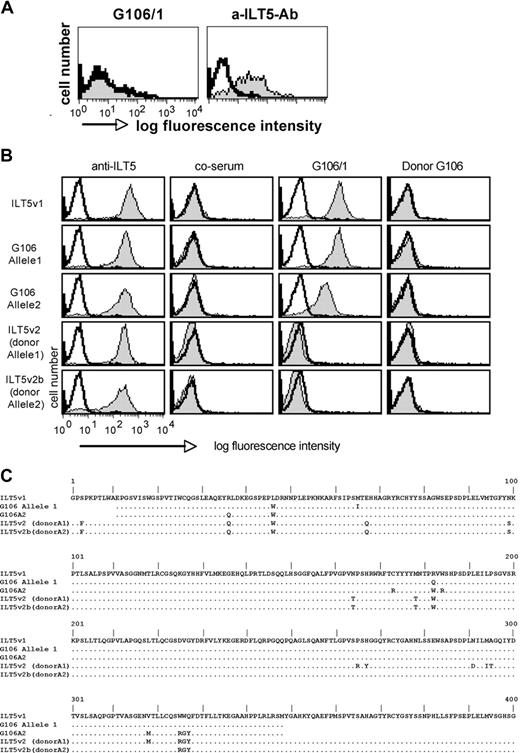 Figure 3. ILT5-specific antibodies arise from disparities in the ILT5 protein. (A) G106 does not react with autologous DCs. mdDCs (donor derived) generated from patient G106 were probed with serum G106/1 (left panel, gray histogram) and a murine anti-ILT5 antibody (right panel, gray histogram). Reactivity of a control serum (left panel) or the isotype control antibody (right panel) is depicted as open histograms. (B) G106/1 reacts with recipient-derived ILT5 but not donor-derived ILT5. The ilt5 products of the recipient G106 (pretransplantation; alleles 1 and 2) and posttransplantation (donor-derived; ilt5v2 and v2b) were cloned and expressed on Bw cells. The transfectants were probed with an ILT5-PE mAb (left panels), a healthy control serum (middle left panels), serum G106/1 (middle right panels), and donor serum (right panels) shown as gray histograms. Reactivity of anti–ILT5-PE mAb and sera to untransduced Bw cells is depicted as open histograms. Bound human sera were detected with PE-labeled goat anti–human IgG (Fcμ-specific) antibodies. (C) Alignment of the deduced amino acid sequence of ilt5v1 and ilt5 variants derived from patient G106 pretransplantation (ilt5 recipient alleles 1 and 2) and posttransplantation ILT5 donor alleles 1 (= ilt5v2) and 2 (= ilt5v2b).