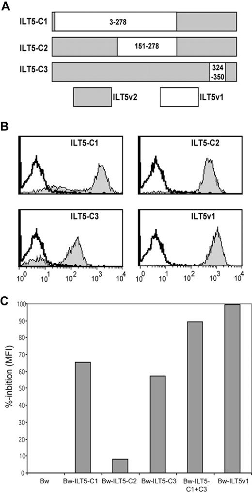 Figure 4. Identification of binding sites of ILT5-specific antibodies. (A) Scheme of chimeric ILT5v1/v2 molecules representing amino acids 3 to 278 (ILT5-C1), 150 to 278 (ILT5-C2), and 324 to 350 (ILT5-C3) of ILTv1. (B) Plasmids encoding ILT5 chimeras C1 to C3 and ILT5v1 were retrovirally expressed on Bw cells and tested with serum G106/1 (gray histograms). Reactivity of serum G106/1 with untransduced Bw cells is depicted as open histograms. (C) Bw cells expressing ILT5v1 were stained with serum G106/1 preincubated with Bw cells or Bw cells expressing ILT5 chimera (C1-C3) or ILT5v1 as indicated. Percentage reduction of reactivity compared with control Bw treated serum is shown.