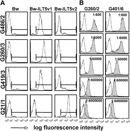 Figure 5. Identification of additional stem cell-transplanted patients with high titers of antibodies specific for ILT5 variants 1 and 2. (A) Control cells (Bw) and cells expressing ILT5 variant 1 (Bw-ILT5v1) or 2 (Bw-ILT5v2) and control cells (Bw) were probed with sera reacting with ILT5 variant 1 (G486/2, G260/3, and G419/3) or ILT5 variant 2 (G21/1). (B) Serial dilutions of indicated ILT5 variant 1-reactive sera were probed with control Bw cells (open histograms) or Bw cells expressing ILT5 variant 1 (gray histograms).