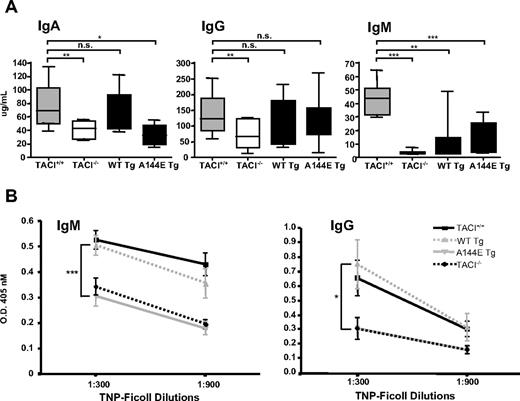 Figure 4. Serum immunoglobulin levels and antibody responses to TNP-Ficoll in TACI transgenic mice. (A) Serum IgA, IgG, and IgM levels from nonimmunized 8- to 12-week-old TACI+/+, TACI−/−, and TACI transgenic mice. The median (center line), 25th to 75th percentiles (box), and lowest and highest values (bars) are shown for each (n = 10-12 mice per group). (B) IgM and IgG anti-TNP antibody responses 14 days after immunization. Bars represent the standard error (n = 10-12 mice per group). For IgG anti-TNP, the lines representing A144E and TACI−/− groups are overlapping. The Mann-Whitney test was used in panel A, and 2-way ANOVA was used in panel B to calculate significance. (*P < .05, **P < .01, ***P < .005.)