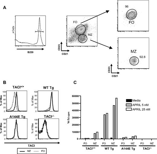 Figure 6. Proliferation of splenic MZ and FO B cells in response to APRIL. (A) Strategy of sorting and representative FACS analysis of sorted MZ and FO B cells. (B) TACI expression on sorted MZ and FO B cells. (C) Proliferation of sorted MZ and FO B cells in response to APRIL. Results represent mean of 2 experiments.