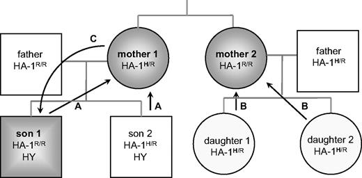Figure 1. Bidirectional routes of familial exposure to minor H alloantigens. Pathway C illustrates exposure of the offspring to noninherited maternal minor H alloantigen HA-1H after transfer of cells during pregnancy (indicated by arrow). Maternal exposure to fetal inherited paternal minor H alloantigen HY or HA-1H is illustrated by pathway A and B, respectively.