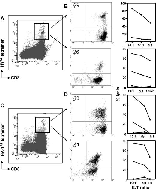 Figure 2. Tetramer staining patterns and cytolytic function of CD8+ minor H antigen–specific T cells obtained from healthy women and men. (A,C) Representative tetramer-binding profiles of HY-specific T cells (A) and HA-1–specific T cells (C) detected ex vivo in CD8-enriched PBMCs after nonstringent FACS sorting. The rectangle indicates the total tetramer+ population isolated during a second round of FACS sorting. (B,D) The cytolytic activity, indicated as percentage lysis on the y-axis, of polyclonally expanded tetramer+ fractions tested against various target cells: □ indicates HLA-A2+, HA-1− female target cells; ■, HLA-A2+, HA-1− female target cells pulsed with HY peptide (B) or HLA-A2+, HA-1− female target cells pulsed with HA-1 peptide (D); and ●, HLA-A2+ HA-1+ male target cells. The effector:target cell ratios (as depicted on the x-axis) were calculated according to the corresponding percentage of HYA2 tetramer-binding T cells as shown in the center plots.