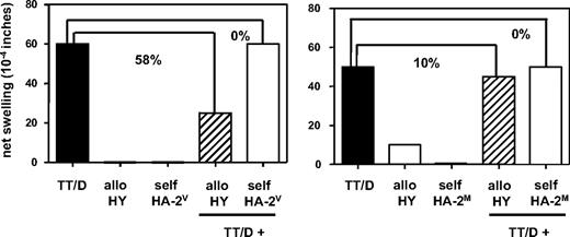 Figure 3. Presence or absence of minor H antigen–specific regulatory T cells analyzed in the tvDTH assay. Total PBMCs of 2 mothers with male offspring were tested for minor H antigen HY-driven bystander suppression of recall responses. PBMCs were injected together with either a mixture of recall antigens comprising tetanus toxoid (TT) and diphtheria toxoid (D), minor H allopeptide HY (allo HY) or minor H self-peptide HA-2V or HA-2M (self HA-2V, self-HA-2M) alone or with a combination of TT/D + allo- or self-peptide into the footpads of CB17.SCID mice. Footpad swelling, indicated as net swelling on the y-axis, was measured 24 hours later. Percentages indicate the percentage of inhibition of the recall response (■) in the presence of allo- (▨) or self-(□) minor H peptide. Mother ♀4 (left graph) displays a tvDTH regulator phenotype; mother ♀7 (right graph) is classified as a tvDTH nonregulator.
