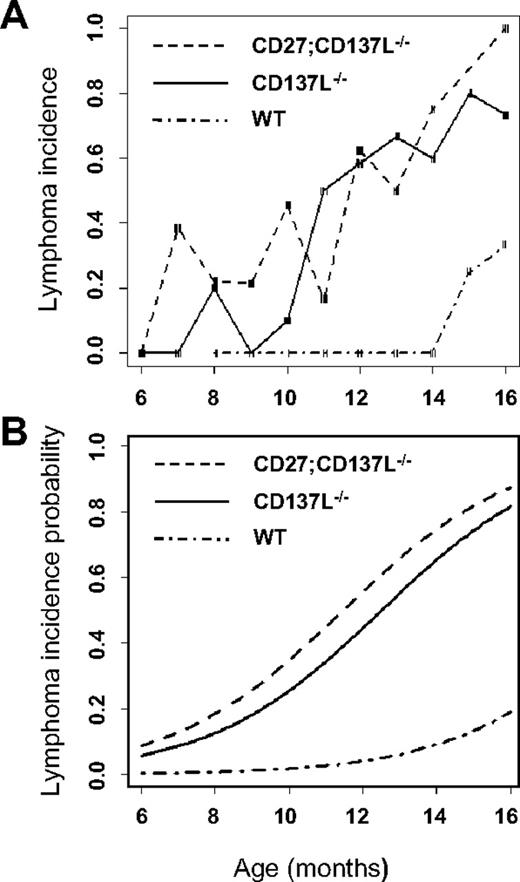 Figure 2. CD137L−/− and CD27;CD137L−/− mice are predisposed to develop B-cell lymphoma. WT, CD137L−/− and CD27;CD137L−/− mice of various ages (6-16 months) were killed and examined blindly for indications of lymphoma according to Bethesda proposals.27 (A) For each genotype frequencies of lymphoma incidence were determined per age in months. The risk to develop lymphoma was determined on the basis of locally weighed polynomial regression. (B) Trend lines for the smoothed estimates were calculated to determine the lymphoma incidence probability for each genotype. Diagnosis of lymphomas is presented in Table 2.