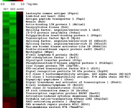 Figure 7. CD137L regulates gene expression in GC B cells. CD19+GL7+ GC B cells were sorted by flow cytometry from spleen and lymph nodes of WT and CD137L−/− mice 9 days after immunization with NP-CG (left panel, GC1) or infection with influenza virus (middle panel, GC2). GC B cells of 4 mice per genotype were pooled for each experiment. mRNA was isolated and used for comparative expression analysis by genome-wide microarray. The heat map depicts transcript levels according to the indicated 2log ratio between expression in WT vs CD137−/− GC B cells (see color scale). Green denotes lower expression, and red denotes greater expression in WT GC B cells compared with CD137−/− GC B cells. The list of genes was selected for statistically significant differential expression (P < .01) and presence in both experiments. CD19+GL7− non-GC B cells (right panel, nonGC) were sorted simultaneously and analyzed to confirm GC specificity of the listed genes.