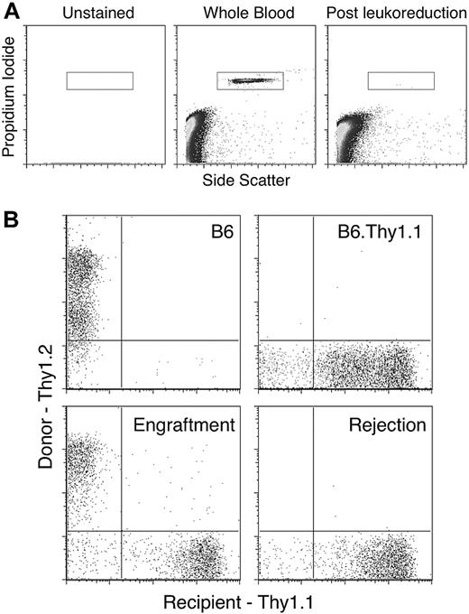 Figure 1. Flow cytometric enumeration of residual WBCs in leukoreduced blood and measurement of T-cell chimerism in recipient mice. Each leukoreduced unit of blood was analyzed for residual WBCs. (A) A representative analysis is shown. Leukoreduction resulted in fewer than 1000 rWBCs on average. Peripheral blood from recipient and control mice was stained with antibodies against Thy1.1 and Thy1.2 and analyzed by flow cytometry after gating on CD3+ events. (B) Representative plots of a mouse with engraftment and a mouse displaying rejection of BMT are shown.