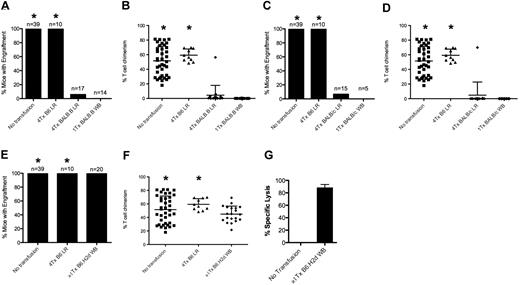 Figure 2. Transfusion of mHA-mismatched leukoreduced blood induces rejection of subsequent BMT. Transfusion with mHA-mismatched leukoreduced blood induces rejection of BMT from BALB.B donors. (A) The number of mice with engraftment was significantly reduced after 4 transfusions with mHA-mismatched blood (group BALB.B LR) compared with mice transfused with syngeneic blood (group B6 LR; P < .001, 2-tailed Fisher exact test). (B,D,F) Chimerism in engrafted animals was somewhat variable from experiment to experiment but resulted in a clear determination of engraftment versus rejection. (C) Use of BALB/c RBC donors induces rejection of BALB.B bone marrow, suggesting that the indirect pathway is active for donor RBCs (P < .001, 2-tailed Fisher exact test). (E) Transfusion-induced mHA-mismatched BMT rejection is not the result of alloimmunization against H-2d MHC molecules, as no rejection is seen in mice transfused with whole blood from B6.H2d mice (group B6.H2d WB). (G) Specific lysis against target cells from B6.H2d donor mice measured in an in vivo killing assay, indicating that anti-H2d alloimmunization occurred. Data shown are the combined results of at least 3 separate experiments in each figure. *The data corresponding to the no transfusion and syngeneic transfusion groups were combined for all the experiments and are presented in multiple panels.
