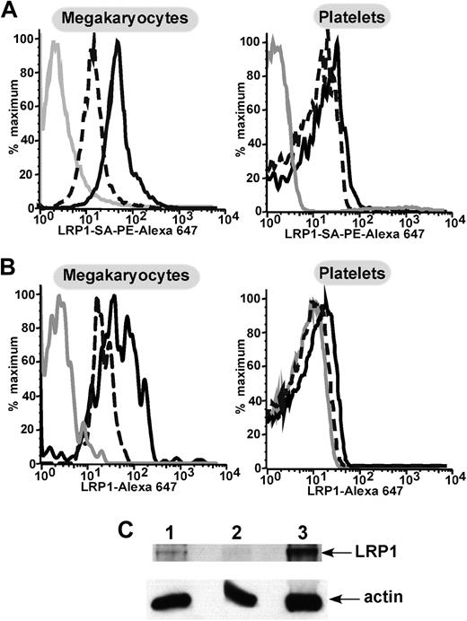 Figure 2. Flow cytometry and Western blot of human and murine megakaryocytes and platelets. (A) Representative examples of flow cytometry of murine bone marrow–derived megakaryocytes (top) stained with a biotin labeled anti-hLRP1 antibody known to cross-react with mouse LRP131 and then stained with streptavidin, PE–Alexa 647 secondary antibody. The gray line represents unstained cells. The broken black line represents secondary antibody alone. The solid black line is megakaryocytes with both antibodies. The bottom graph shows flow cytometry of platelets similarly performed. (B) As in panel A but for human cultured megakaryocytes and human peripheral blood platelets. LRP1 antibody was directly labeled with Alexa 647 for these experiments. As in panel A, the solid gray line represents unstained cells. The broken black line represents cells with isotype control antibody. The solid black line represents cells stained with the LRP1 antibody. (C) Western blot for LRP1 and actin as a control for protein loading. (1) Megakaryocytes, (2) platelets, and (3) WBCs. LRP1 band is expected at approximately 85 kDa and actin at approximately 25 kDa.