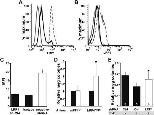 Figure 4. shRNA suppression of LRP1 and megakaryocyte colony formation. (A) Representative flow cytometry of 3T3 cells (positive control for LRP1) stably transfected with different shRNA viral vectors. The solid gray line represents cells that were unstained. The broken gray line is LRP1 expression on cells expressing the empty lentiviral vector. Solid black line shows the decrease in surface LRP1 expression after stable transfection with the LRP1 shRNA virus. (B) Same as panel A except for murine bone marrow cells after culture in media containing TPO and puromycin for 5 days. The solid gray line represents isotype control. The broken gray line is cells transfected with the negative viral vector. The solid dark line represents cells transfected with LRP1 shRNA. (C) Quantitation of change in mean fluorescence index (MFI) in murine bone marrow cells transfected with virus. Data represent mean +1 SD for 3 independent experiments. Viral titers were between 1 to 2 × 1011 viral particles/mL. (D) Effect of LRP1 shRNA on megakaryopoiesis (meg) using mPF4−/− bone marrow and hPF4High bone marrow expressed relative to megakaryopoiesis with the control empty vector. ■ is relative level of megakaryocyte seen after transfection with the empty lentiviral vector, and □ is relative level after transfection with the LRP1 shRNA vector. Data represent mean +1 SD for 4 experiments, each performed in duplicate. *P < .006 for LRP1 versus negative control for hPF4. shRNA had no effect on colony formation in mPF4−/− bone marrow. (E) Effect of LRP1 shRNA megakaryocyte colony formation in mPF4−/− bone marrow treated with exogenous PF4 (25 μg/mL). Percentage of meg colonies were normalized as in panel D. Ctl indicates control studies with empty vector. Data represent mean +1 SD. Numbers in bars represent times experiments were performed (each in duplicate). *P < .008 for LRP1 versus empty virus in the presence of PF4.