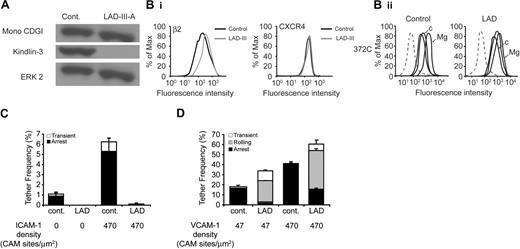 Figure 4. Intrinsic LFA-1 adhesiveness, but not VLA-4 adhesiveness is diminished in Kindlin-3–null LAD-III EBV cells. (A) Loss of Kindlin-3, but not of CDGI, in LAD-III EBV cells derived from patient A. Lysates of control and LAD-III EBV lymphoblasts were immunoblotted with anti–Kindlin-3 Ab, anti-CDGI mAb, and anti–total ERK2 Ab. (Bi) FACS staining of β2 and CXCR4 on EBV lymphoblasts. (Bii) Basal and CXCL12-stimulated (c) or Mg2+-EGTA–stimulated (Mg) induction of the 327C β2 epitope in control and LAD-III EBV lymphoblasts. (C) Spontaneous LFA-1 adhesiveness to high density ICAM-1-Fc by control and LAD-III EBV lymphoblasts under low shear stress (0.5 dyn/cm2). Frequency of transient and firm attachments determined in 2 fields of view for each group of cells is depicted as mean values ± range. (D) Spontaneous attachments (transient, rolling, or arrest) of EBV cells interacting with the indicated densities of VCAM-1-Fc at a shear stress of 0.75 dyn/cm2. The frequency and strength of all tethers were determined, as in panel C. Data shown in panels C and D are each representative of 3 experiments.